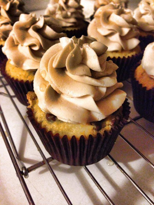 Group of chocolate chip cupcakes